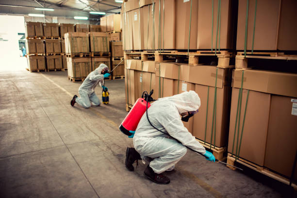 Best Mosquito Control Services  in Ossun, LA
