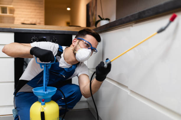Trusted Ossun, LA Pest Control Experts