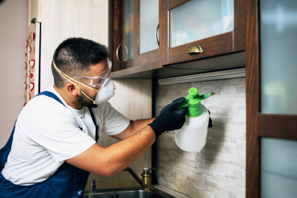 Wasp Removal Services in Ossun, LA