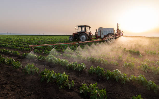 Best Pest Inspection Near Me  in Ossun, LA