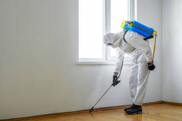 Best Rat Extermination Near Me  in Ossun, LA