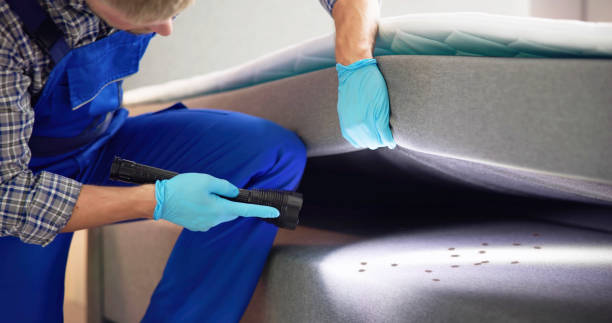 Trusted Ossun, LA Pest Control Experts