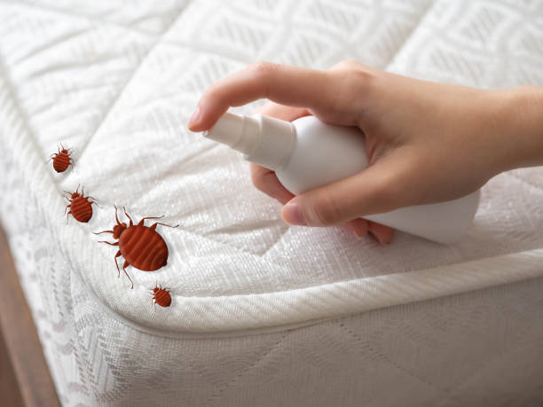 Best Affordable Pest Control Services  in Ossun, LA
