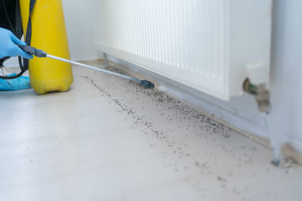 Best Best Pest Control Companies  in Ossun, LA