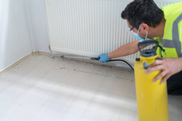 Pest Control Cost in Ossun, LA